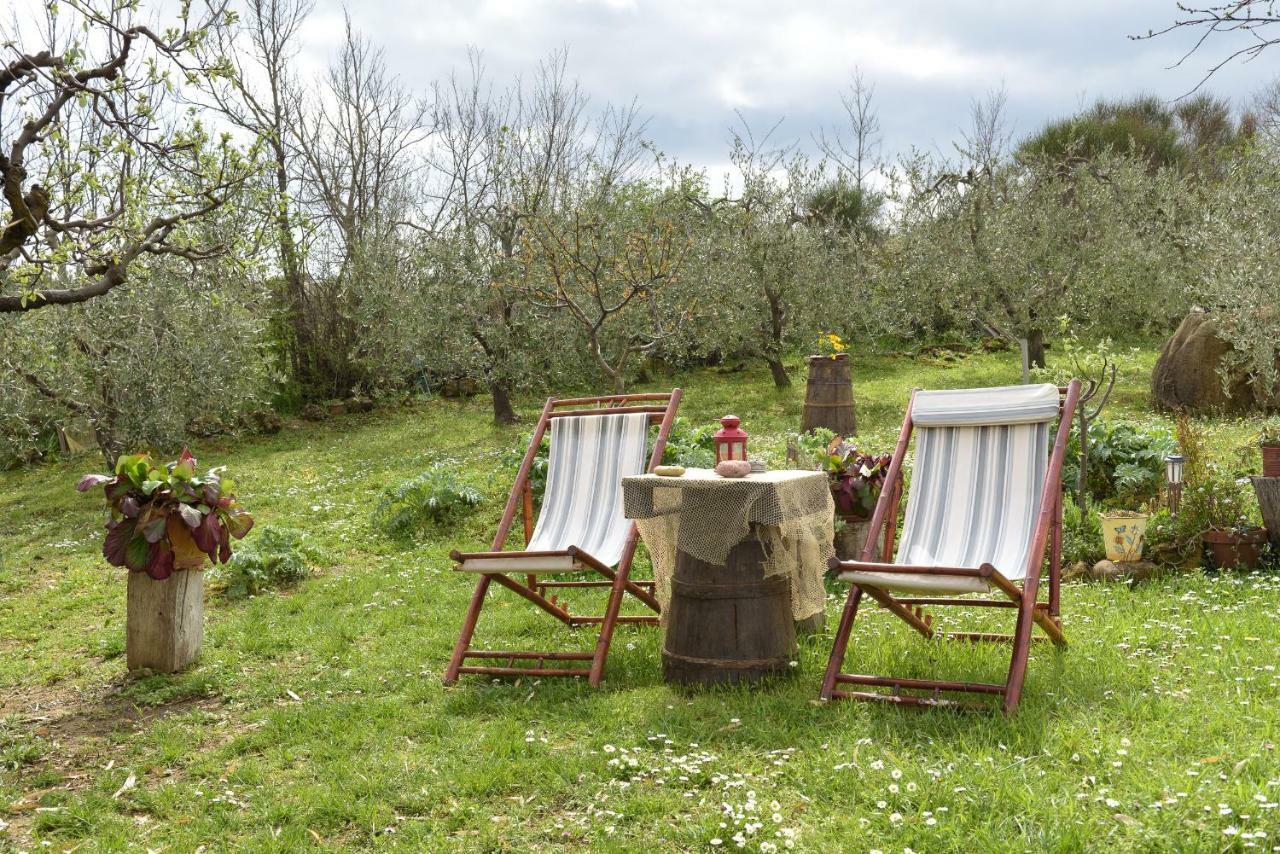 Agriturismo Campo Alla Piana Villa Monticchiello Exterior foto