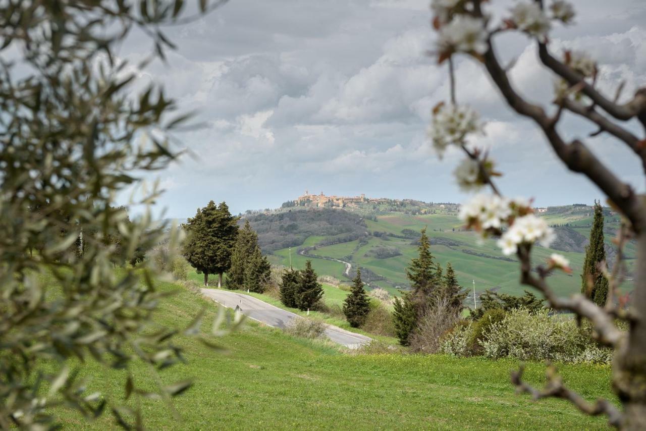 Agriturismo Campo Alla Piana Villa Monticchiello Exterior foto